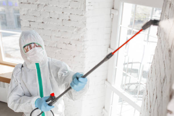 Best Mold removal after water damage  in Farrell, PA