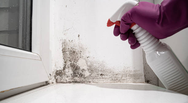 Best Emergency water damage restoration  in Farrell, PA